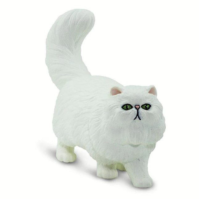 WSP Persian Cat White