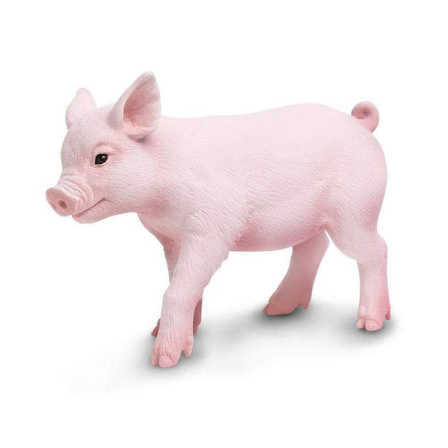 IC Piglet