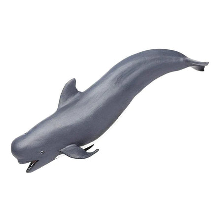 WSS Pilot Whale