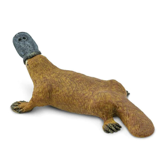 WSW Platypus