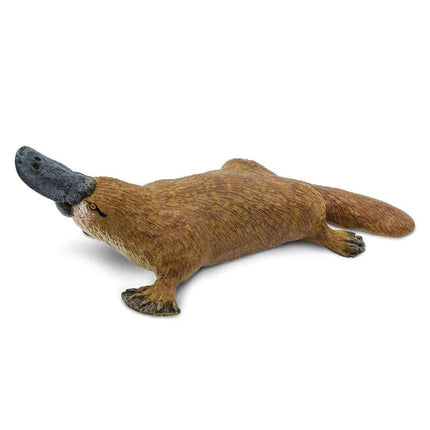 WSW Platypus