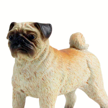 WSP Pug Dog