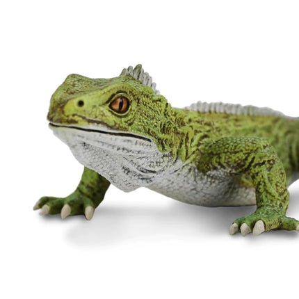 IC Tuatara