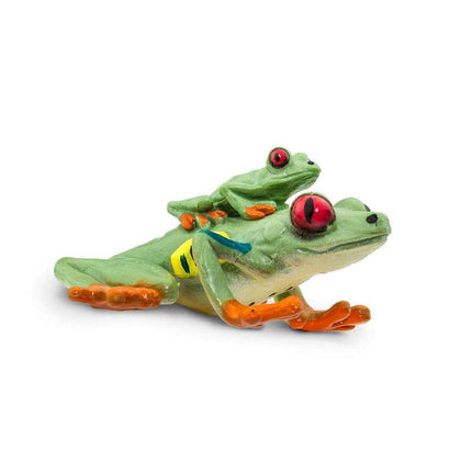 IC Red Eyed Tree Frog