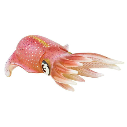 IC Reef Squid