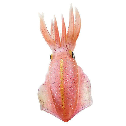 IC Reef Squid