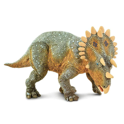 WSD Regaliceratops