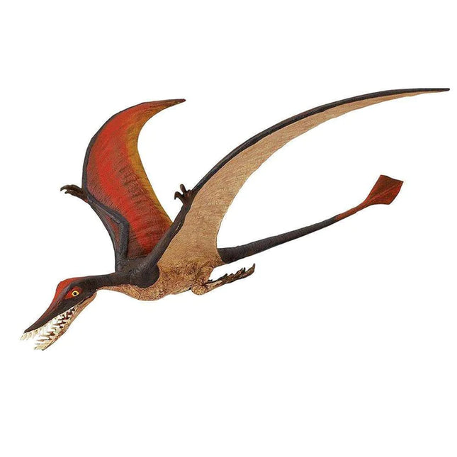 WSD Rhamphorhynchus