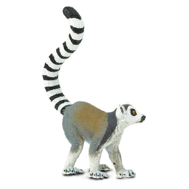 WSW Ring-tailed Lemur