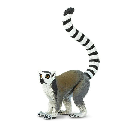 WSW Ring-tailed Lemur