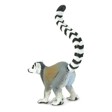 WSW Ring-tailed Lemur