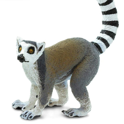 WSW Ring-tailed Lemur