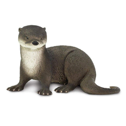 IC River Otter