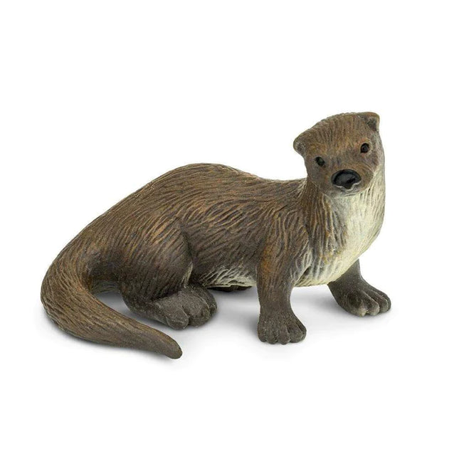 WSW River Otter