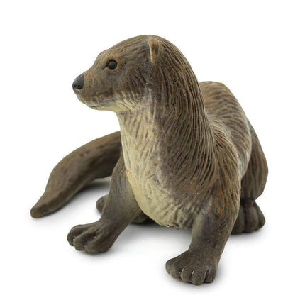 WSW River Otter