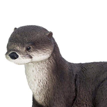 IC River Otter