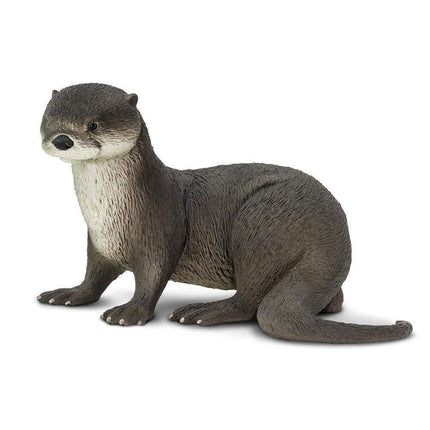 IC River Otter