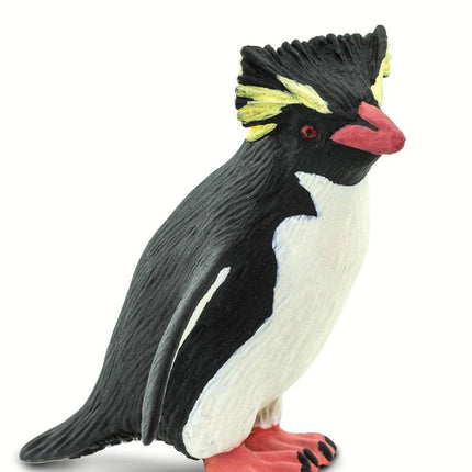 WSW Rockhopper Penguin