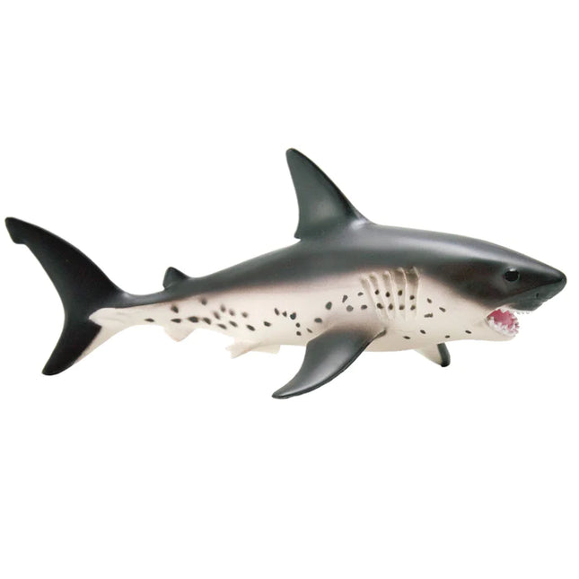 WSS Salmon Shark