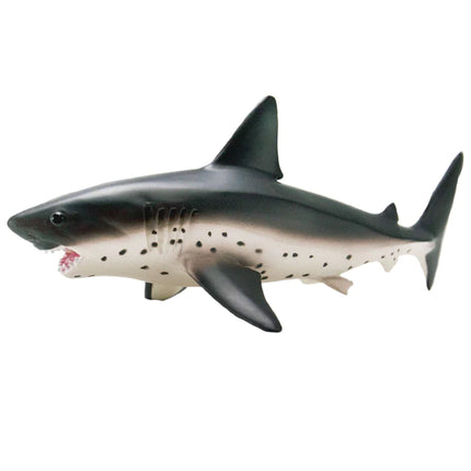 WSS Salmon Shark