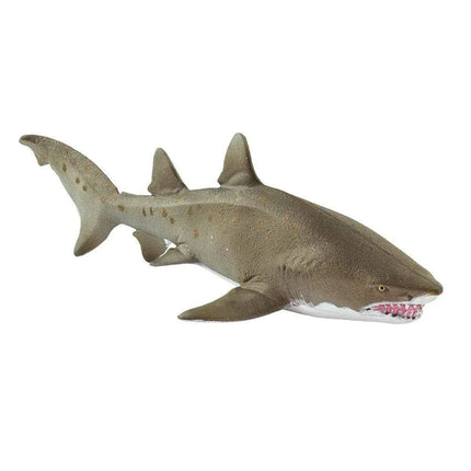 WSS Sand Tiger Shark