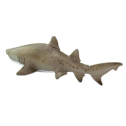 WSS Sand Tiger Shark