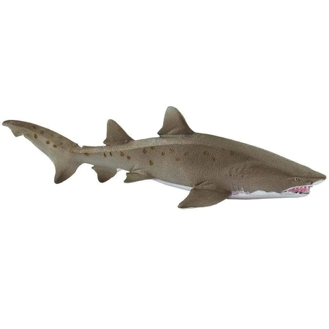 WSS Sand Tiger Shark