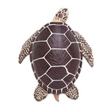 IC Sea Turtle