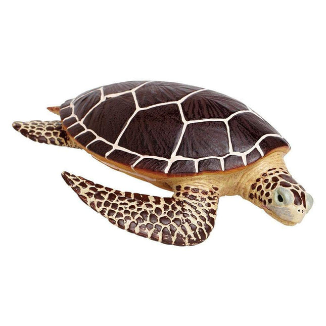 IC Sea Turtle