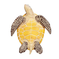 IC Sea Turtle