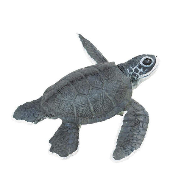 IC Sea Turtle Baby