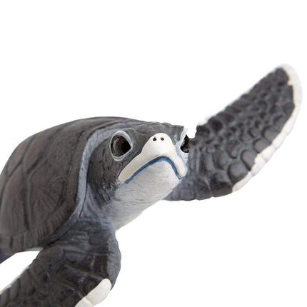 IC Sea Turtle Baby