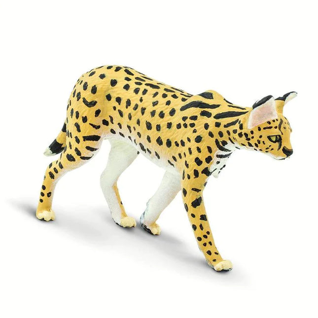 WSW Serval Cat