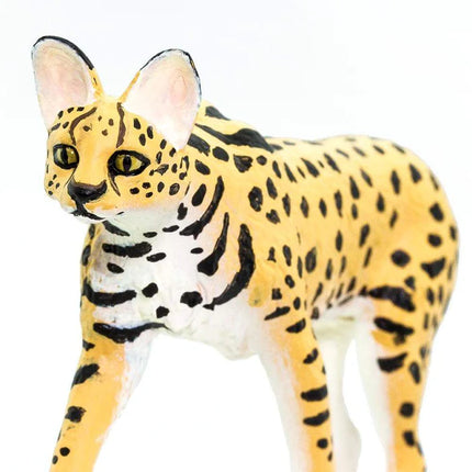 WSW Serval Cat