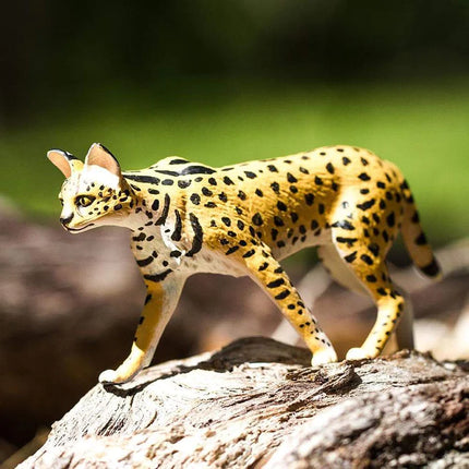 WSW Serval Cat