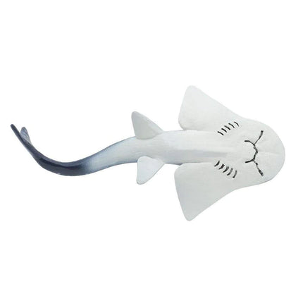 WSS Shark Ray