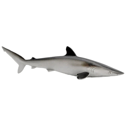 WSS Silky Shark