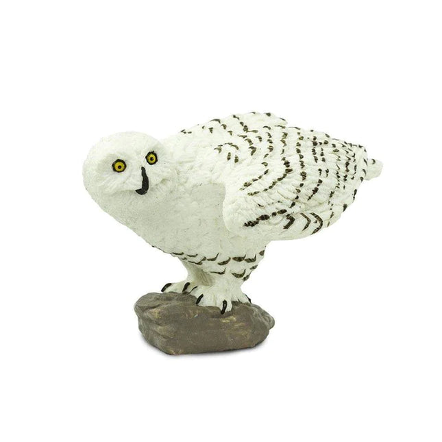 WSW Snowy Owl