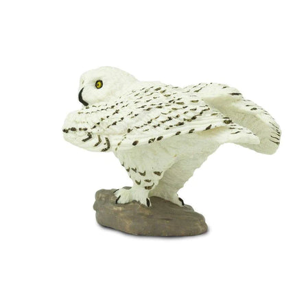 WSW Snowy Owl