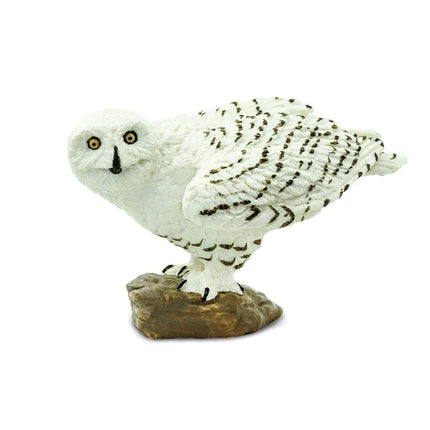 WSW Snowy Owl