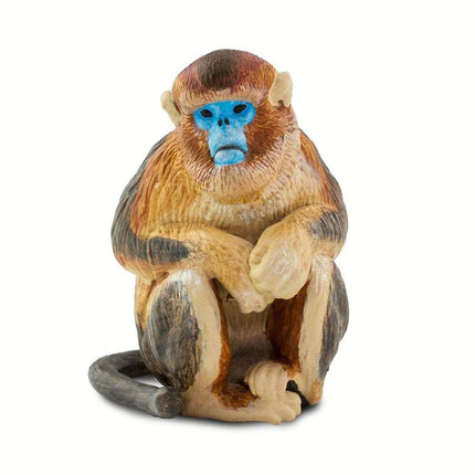 WSW Snub Nosed Monkey