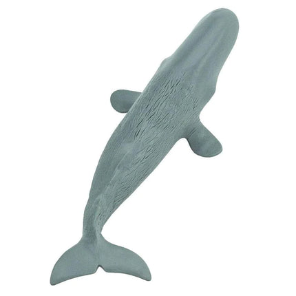 WSS Sperm Whale x