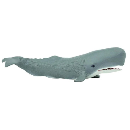 WSS Sperm Whale x