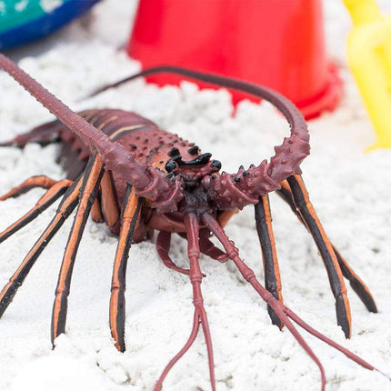 IC Spiny Lobster