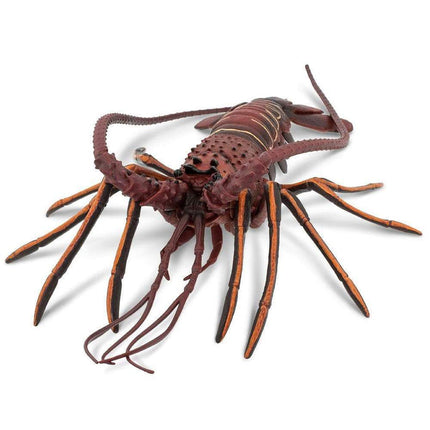 IC Spiny Lobster