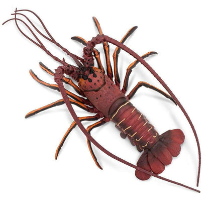 IC Spiny Lobster