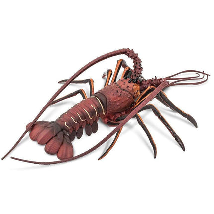 IC Spiny Lobster