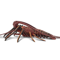IC Spiny Lobster