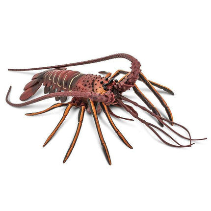 IC Spiny Lobster