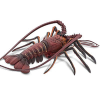 IC Spiny Lobster